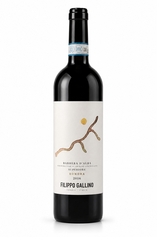 Filippo Gallino – Barbera D'Alba Superiore BONORA 2018