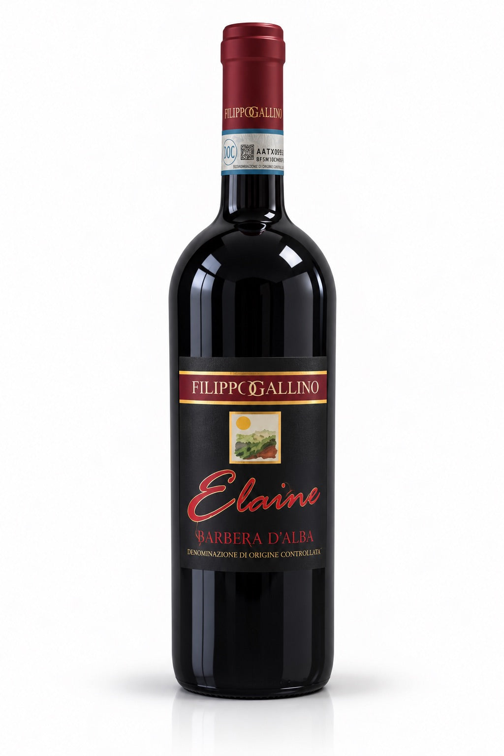 Filippo Gallino – Barbera D'Alba Superiore ELAINE 2012