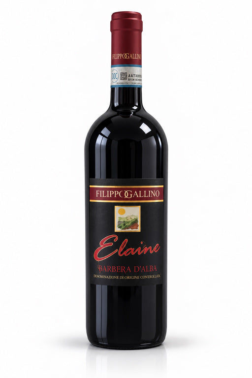 Filippo Gallino – Barbera D'Alba Superiore ELAINE 2012